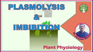 BOTANY 4U  PLANT PHYSIOLOGY  PITAMBAR HUMANE  Plasmolysis and Imbibition [upl. by Ominorej]