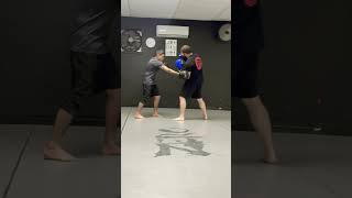 Tuesday We box zerodojo boxingworkout youtubeshorts gym fitness fyp shorts video workout [upl. by Sherrill368]