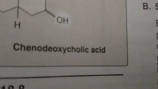 chenodeoxycholic acid pronunciationbile acidlipds [upl. by Fisk589]