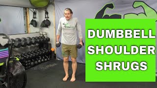 Shoulder Shrugs Exercise Dumbbell  How To Perform [upl. by Petromilli956]