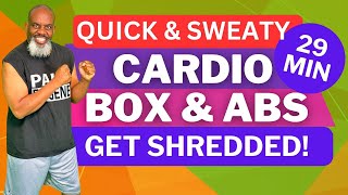 Quick Cardio Boxing Standing Abs  Get Shredded  29 Min [upl. by Azil673]