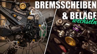 Bremsscheiben und Beläge austauschenwechseln [upl. by Melena]