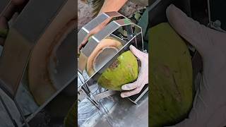 A great way to harvest coconut water  Fruit Cutting Skills [upl. by Nylirehc]