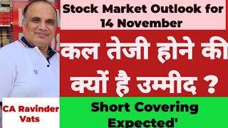 Stock Market Crash  Positive Outlook for Tomorrow14 November 24 by CA Ravinder Vats [upl. by Hocker]