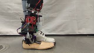 Close View of Dynamic Impedance Prosthetic Ankle [upl. by Kassel102]