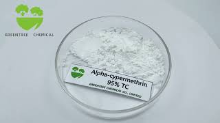 Alphacypermethrin 95 TC CAS NO 67375308 Insecticide [upl. by Manon]