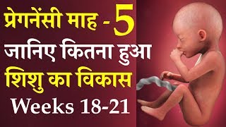 5 माह तक शिशु का विकास  Pregnancy month 5  weeks 18 to 21  5 month Baby development in womb [upl. by Luelle]