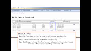 Introduction to the Federal Financial Report FFR for Grantees [upl. by Ilah]