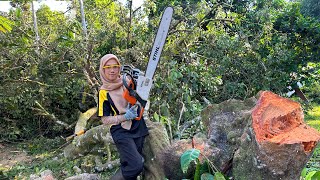 SAYA TK PERNAH TUNJUK KERJA NI Strong village girl  good chainsaw handling cutting woods smoothly [upl. by Chappie]