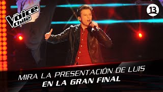 The Voice Chile  Luis Pedraza  Elastic Heart [upl. by Enaenaj]