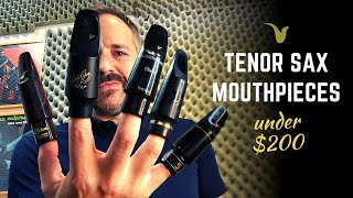 Best Tenor Saxophone Mouthpieces Under 200 [upl. by Tirrej683]