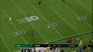 Cole Herdmans Touchdown Reception vs Ohio [upl. by Joella]