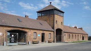 Auschwitz  Episode 2 Birkenau [upl. by Niffirg645]