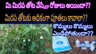 అధిక పూతలుసైడ్ brancheskomma kuludu Bayer movento energy tatqth fungicide dow miraculan [upl. by Ahsimik]