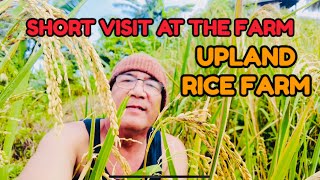 FARM VISIT IN CALINOG [upl. by Samson]