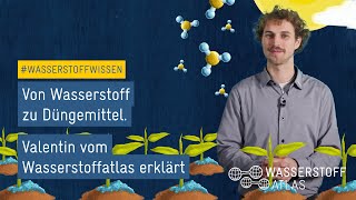 Von Wasserstoff zu Düngemittel – Valentin vom Wasserstoffatlas erklärt  Wasserstoffwissen [upl. by Bomke873]