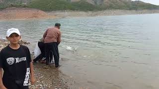 Tarbela Dam Haripur kpk Pakistan Fishing Video [upl. by Issiah]