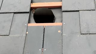 Check this out  How to remove a slate vent  No slate rip no problem💥 [upl. by Noled933]