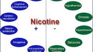 Nicotine Side Effects [upl. by Edaw168]