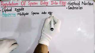 Regulation Of Sperm Entry Into Egg In Urdu Hindi  Developmental Biology  BS Zoology  Lecture No 7 [upl. by Gaspard286]