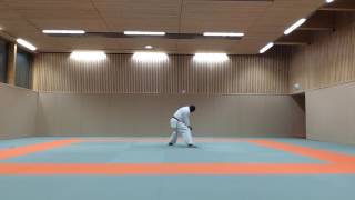 Karaté Shotokan  Kata  Nijushi Ho au ralenti [upl. by Malley]