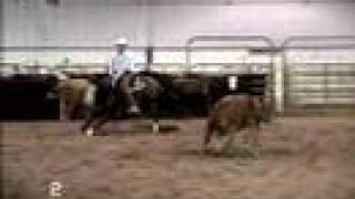 NCHA Cutting Horse  Easters Pepper  Delta August 16 2007 [upl. by Kopp]