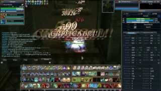 Rappelz E8P1 Beast Master HCTOE Dungeon Run [upl. by Fonville204]