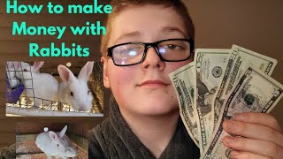 The 5 Best Ways to MAKE MONEY with RABBITS in 2024 [upl. by Jannery461]