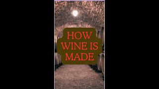 How wine is made in just about a minute from start to finish [upl. by Loria]