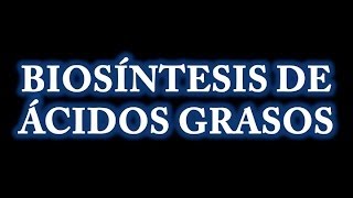 Biosíntesis de Ácidos Grasos [upl. by Iffar]