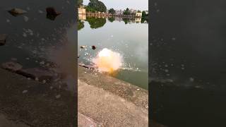 Top Tiger Bomb Blasting experiment ytshorts shorts viralvideo [upl. by Elatnahc717]