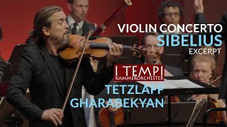 Sibelius  Violin concerto Tetzlaff  I TEMPI  Gevorg Gharabekyan excerpt [upl. by Ketchan]