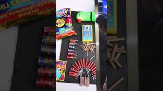 Different Types of Diwali crackers Testing With Parrot 🦜 All Patakha Testing  BIDI Bullet Bijli [upl. by Liuka]