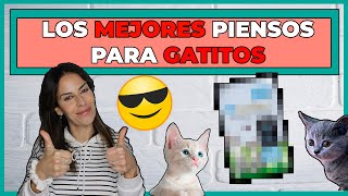 😸 LOS MEJORES PIENSOS PARA GATOS CACHORROS  TOP 5️⃣ de las mejores MARCAS 💥 [upl. by Ratha]