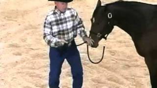 Horse Training with John Lyons  Pull Back Part 1 [upl. by Nelson]