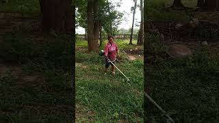 my aunt cutting grass 🌱🌱🌱shorts trending farmer grass viralvideo foryou shortsviral [upl. by Arhna]