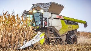 EXTRA BREITES BANDLAUFWERK  der neue Claas Lexion 8900 Maisernte  MS Agrar  Corn Harvest  2020 [upl. by Enilecram]