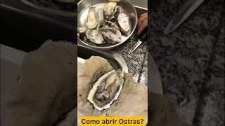 Como abrir Ostras [upl. by Ebneter]