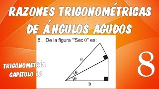 RAZONES TRIGONOMÉTRICAS DE ÁNGULOS AGUDOS I  TRIGONOMETRÍA CAPÍTULO 03 EJERCICIO 08 [upl. by Seligmann116]