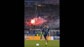 Schalke vs HSV Comeback🔥 schalke edit [upl. by Nichole287]