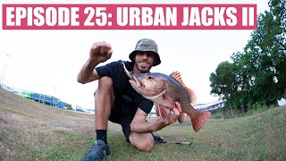 Cairns urban lure fishing [upl. by Galatea]