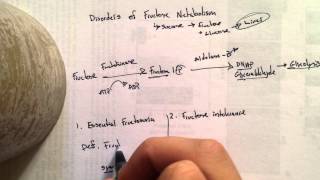 Disorders of Fructose Metabolism [upl. by Audrie]