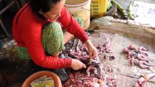 Cambodia  Siem Reap  Market With Food Frogs [upl. by Vihs]