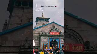 jai Kedarnath jai shivsambhu🙏 harharmahadev shortsvideo shorts viralvideo trending kedharnath [upl. by Ailec]