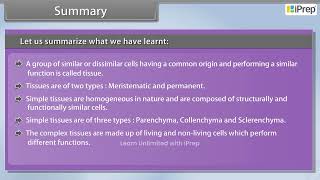 Summary of Anatomy of Flowering Plants  Anatomy of Flowering Plants  Biology  Class 11th  iPrep [upl. by Aveline]