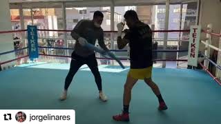 Jorge Linares vs Devin Haney who you got  Esnews boxeo [upl. by Simara]