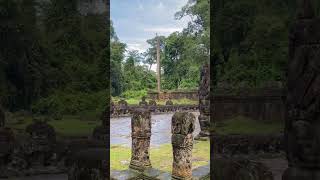 La belleza del templo Preah Khan camboya travel nature wildlife ancienttemple [upl. by Yehc]