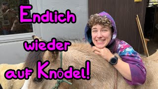 Endlich wieder Bae reiten 😍😍😍 Adventskalender Tür 2 [upl. by Krystal]