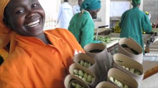 Flower Power and Waitrose Foundation Kenya [upl. by Minetta]