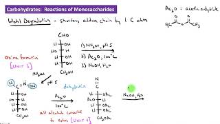 CHEM 2325 Module 37 Wohl Degradation [upl. by Ivzt]